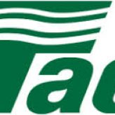 Taco