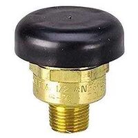 Watts Vacuum Relief Valve