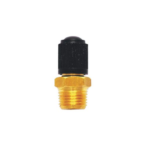 Schrader Valve Canva