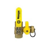 Webstone H-40613 3/4" Female NPT Pro-Pal Ball Drain